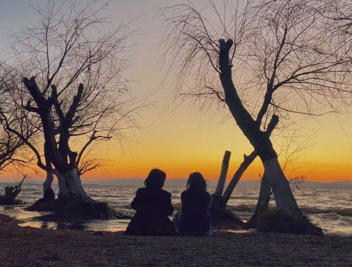 强烈的,强烈的什么怎么写？