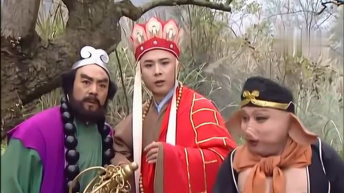 强盗们,文言文《梦狼》的翻译