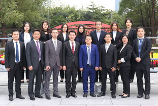 律师同行,律师同行关系的特点