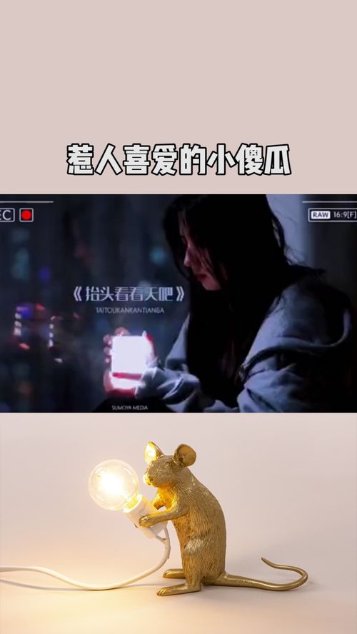 惹人喜爱的意思,惹人喜爱的意思是什么