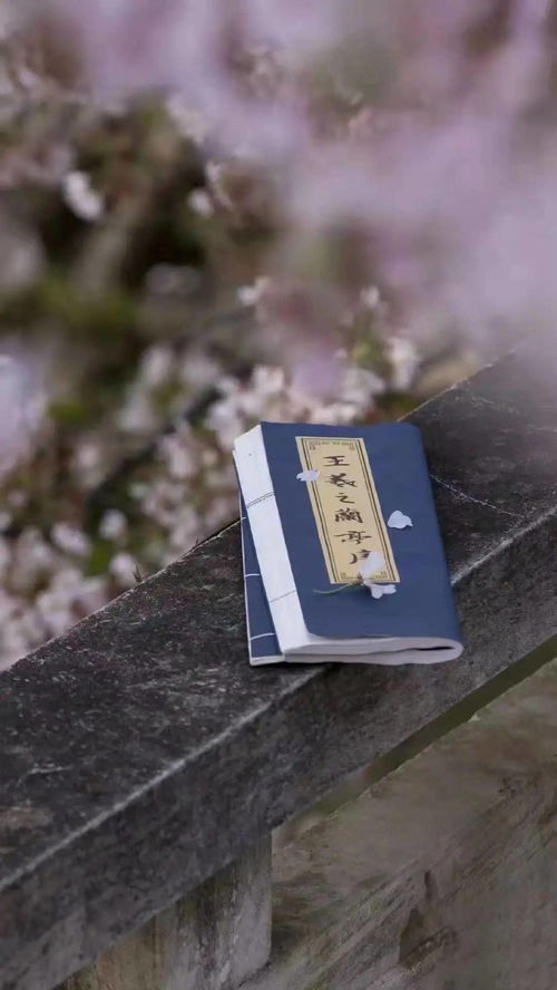 慢词长调,请问，什么是长调？什么是慢词？什么是小令？