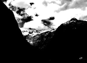 憔悴的拼音,憔悴的拼音