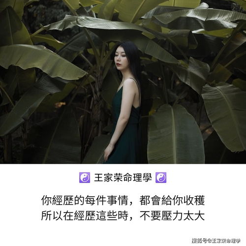 挠曲枉直,挠字开头的成语