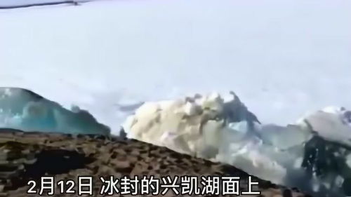 排山倒海排的意思,排山倒海中的排是什么意思？