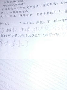 描写家乡景色的作文,描写家乡的景色优秀作文
