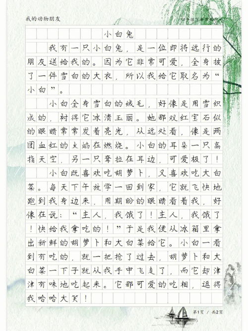 描写小白兔的作文,描写小白兔的作文500字6篇