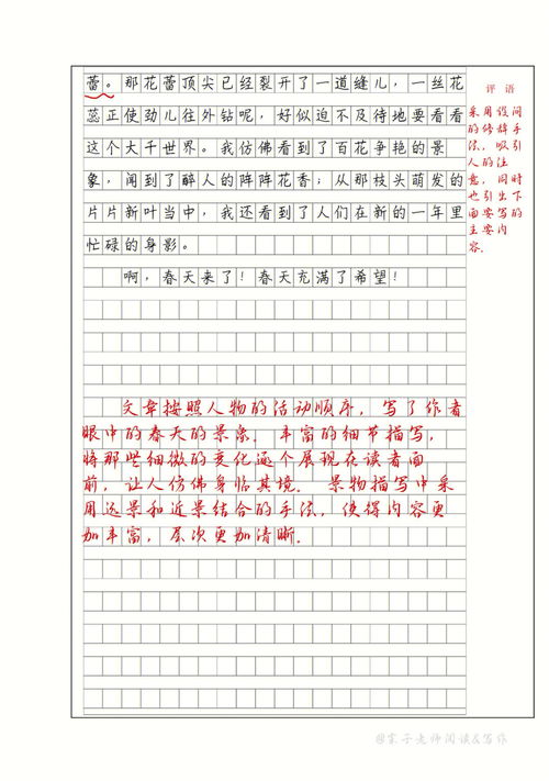 描写春天景色的作文,春天的景色优秀作文