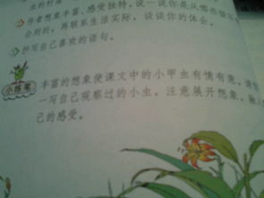 描写月下情景小练笔,月下的情景写一段话