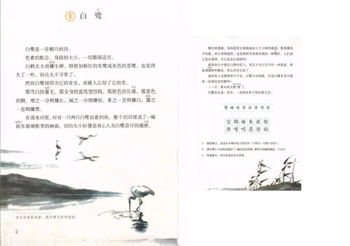 描写清明节的优美段落,描写清明节的优美段落