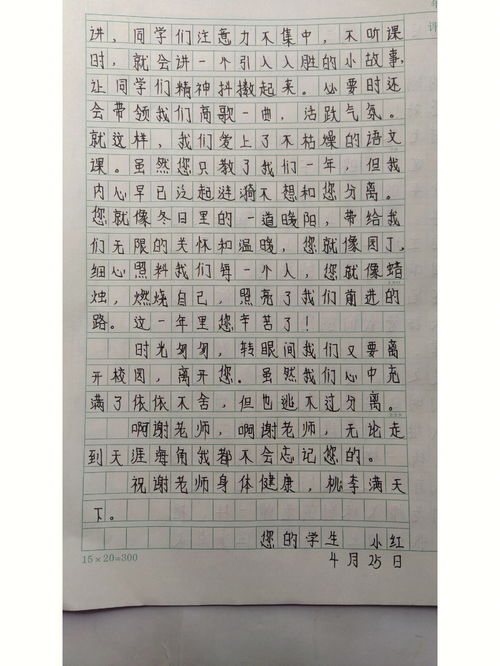 描写老师的文章,描写我的老师作文