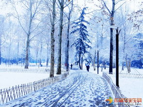 描写雪景的段落,描写雪景超唯美的段落有哪些？