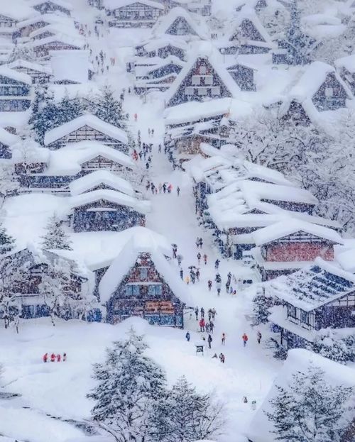 描写雪的词,形容雪的词语