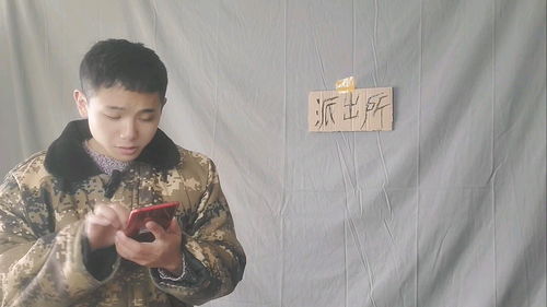 擒贼先擒王出自,擒贼先擒王出自哪首古诗
