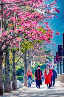 攀枝花得天独厚,攀枝花市得天独厚餐饮集团有限公司怎么样？