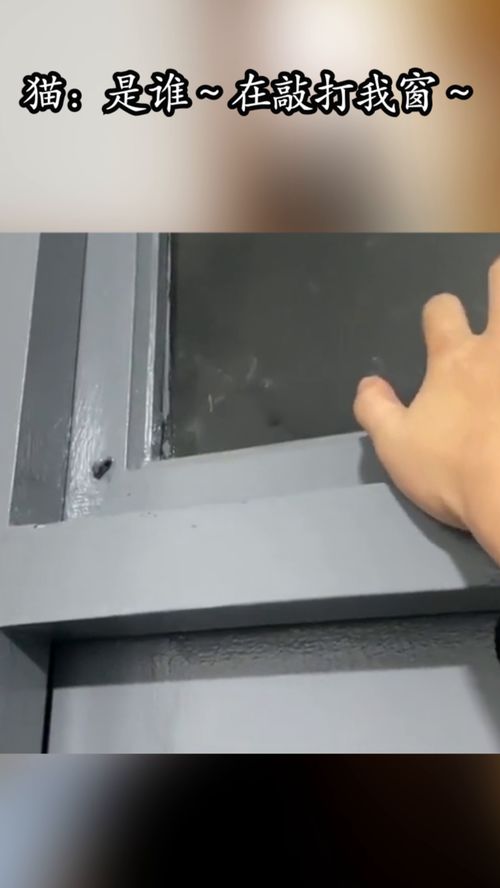 敲打我窗,谁在敲打我的窗是哪首歌里面的歌词