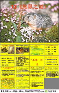 旅鼠之谜,旅鼠之谜的主要内容？