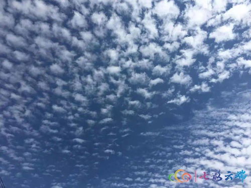 明天有雨吗,应该跟肯定意思是一样吗？