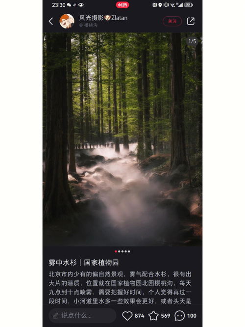 明天早上,明天早上的英文是什么