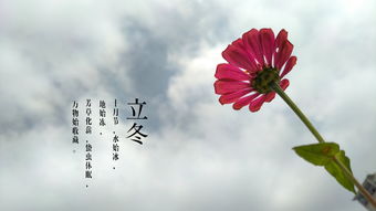 明媚的意思,明媚的意思是什么