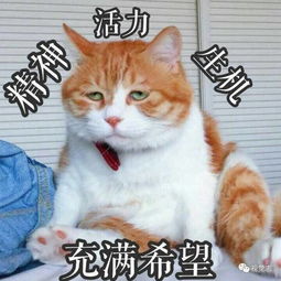 明日复明日的下一句,明日复明日下一句？