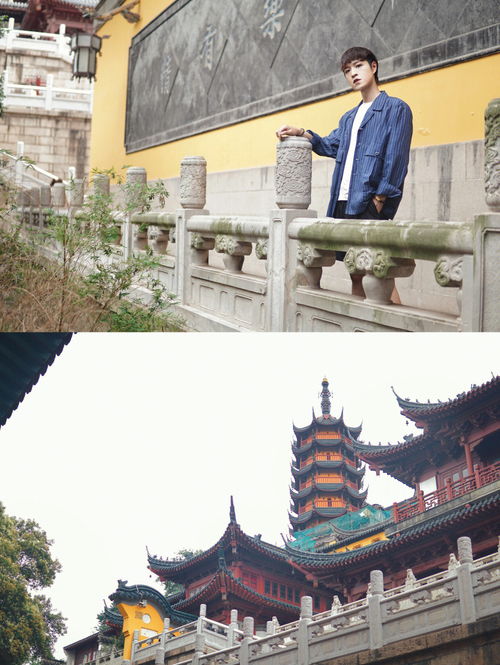 明月何时照我还的前一句,明月何时照我还的前一句是什么