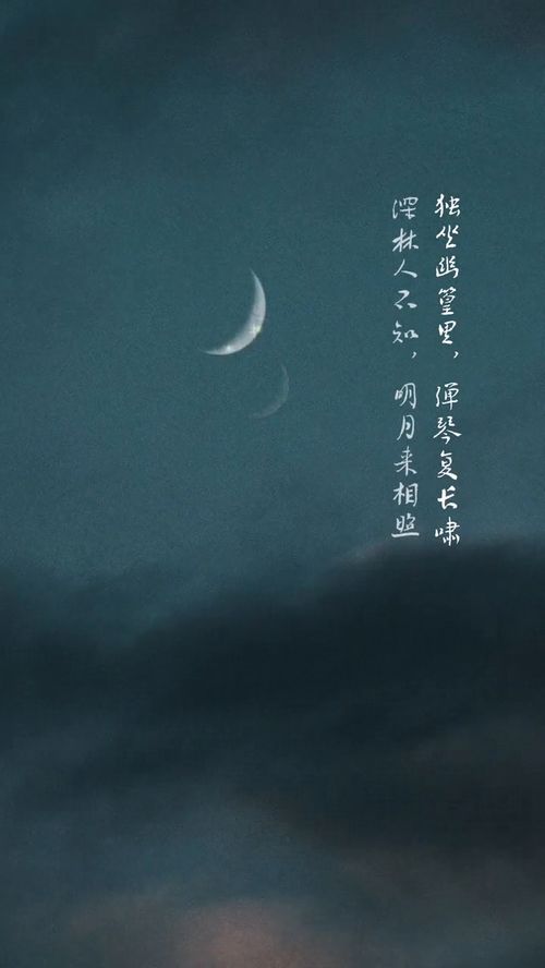 明月来相照,竹里馆原文及翻译赏析