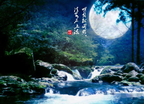 明月松间照,明月松间照全诗