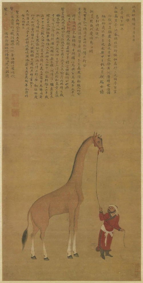 明朝永乐年间 麒麟,明朝永乐年间，郑和船队带回了一只西方异域兽“麒麟”，就是现在的什么动物啊