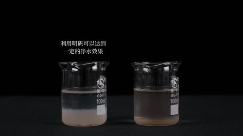 明矾净水,明矾在净化水的过程中起什么作用？