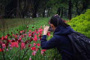 暖风熏得游人醉中的熏是什么意思,暖风熏得游人醉中的熏是什么意思？