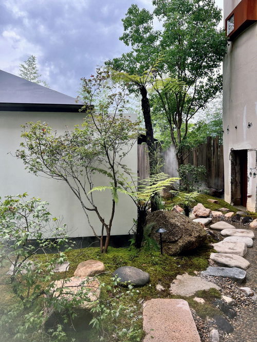 曲径通幽处禅房花木深,曲径通幽处，，，全诗是什么