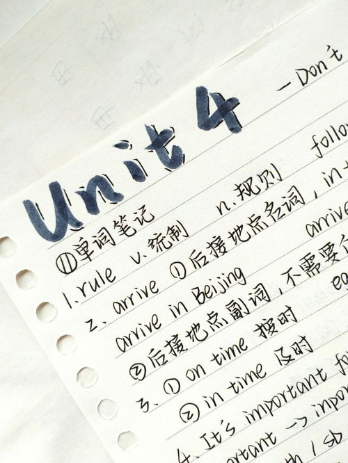 期待英文,期待的英语怎么说