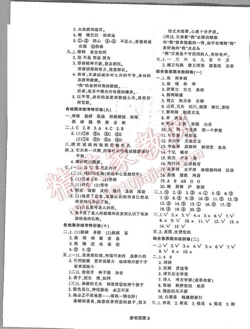 期末冲刺100分语文,语文期末冲刺100分学习高手