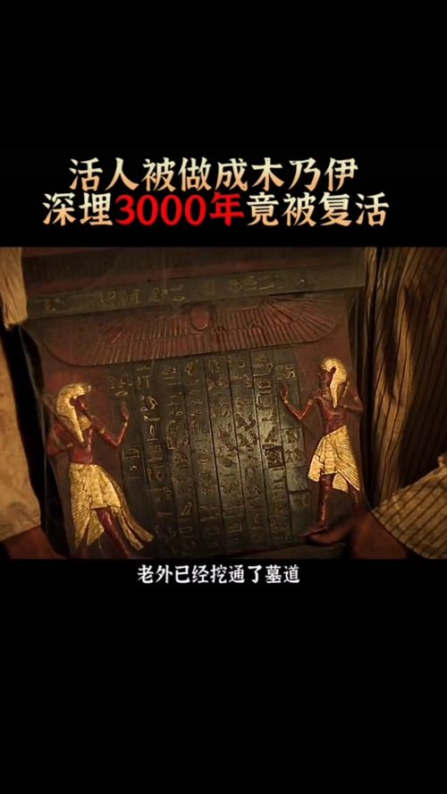 木乃伊是什么意思,木乃伊是什么意思