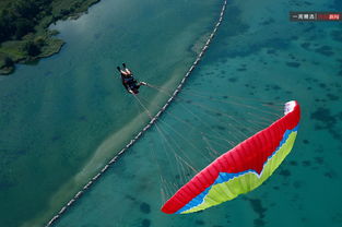 某运动员做跳伞训练,某运动员做跳伞训练,他从悬停在空中的直升机上由静止跳下,跳离飞机一段时间后打开降落伞减速下落.他打