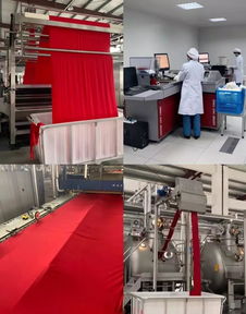 染整加工,染整加工存在的主要问题