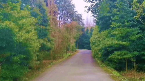 柳暗花明又一村的上一句,柳暗花明又一村的前一句是什么