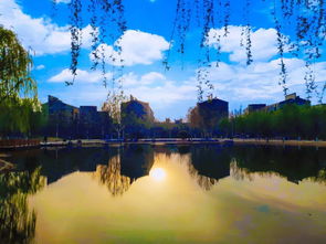 柳花飞,春水柳花飞时 燕子来了的意思