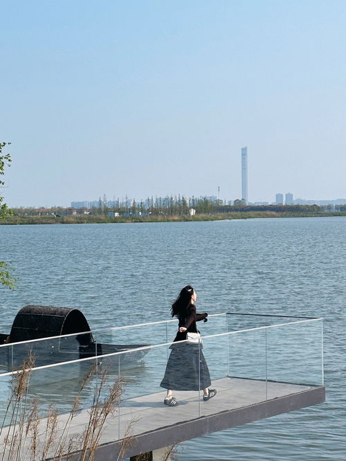 栖息的意思,栖息的意思解释