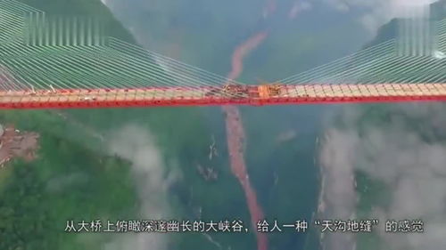 桥梁专家,钱塘江大桥由中国桥梁专家谁主持设计