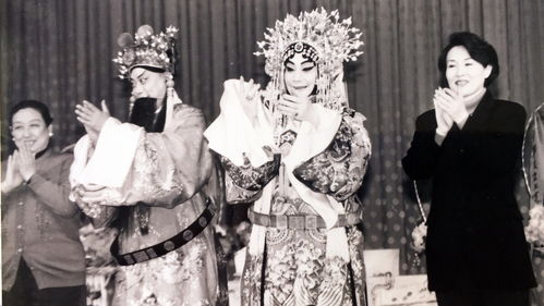 梅兰芳简介,梅兰方简介(详细)？