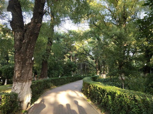 梅子黄时日日晴小溪泛尽却山行的意思是什么,梅子黄时日日晴小溪泛尽却山行的意思是什么？