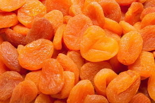 梅子金黄杏子肥全诗,梅子金黄杏子肥的全诗