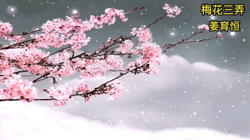 梅花三弄是什么意思,梅花三弄是什么意思