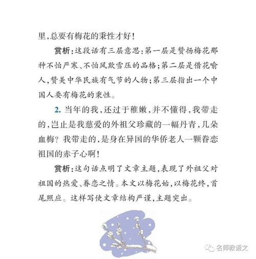 梅花魂课文笔记,《梅花魂》主要记叙了哪些事情？