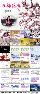 梅花魂的魂是什么意思,梅花魂的魂是什么意思