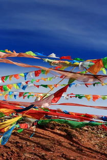 梦很近,电视剧《艾米 加油》里面的歌“梦很轻，看不清…”这首歌名字叫什么？