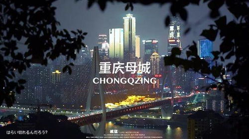 梦想城市,你眼中的理想城市是什么样的？