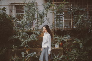 梦日记,梦日记在steam上叫什么