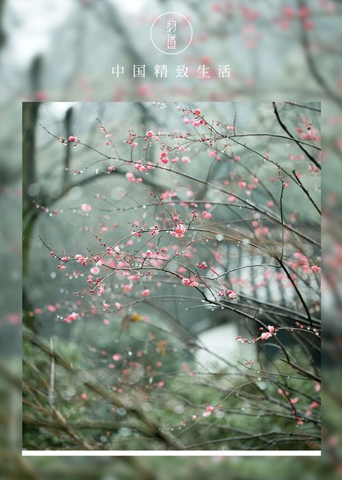 梦江南 皇甫松,兰烬落 屏上暗红蕉的出处是那首诗